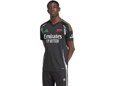 ADIDAS Herren Trikot FC Arsenal 24/25 Auswärtstrikot Grau