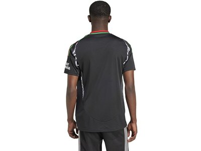 ADIDAS Herren Trikot FC Arsenal 24/25 Auswärtstrikot Grau