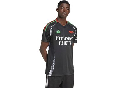 ADIDAS Herren Trikot FC Arsenal 24/25 Auswärtstrikot Grau