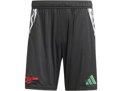 ADIDAS Herren Teamhose FC Arsenal 24/25 Auswärts Grau