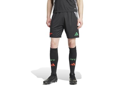 ADIDAS Herren Teamhose FC Arsenal 24/25 Auswärts Grau