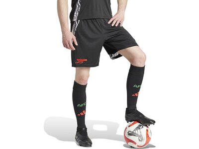 ADIDAS Herren Teamhose FC Arsenal 24/25 Auswärts Grau