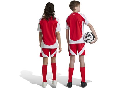 ADIDAS Kinder Teamhose 1. FC Union Berlin 24/25 Kids Heim Rot