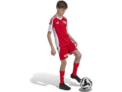 ADIDAS Kinder Teamhose 1. FC Union Berlin 24/25 Kids Heim Rot