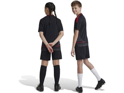 ADIDAS Kinder Teamhose 1. FC Union Berlin 24/25 Kids Auswärts Schwarz