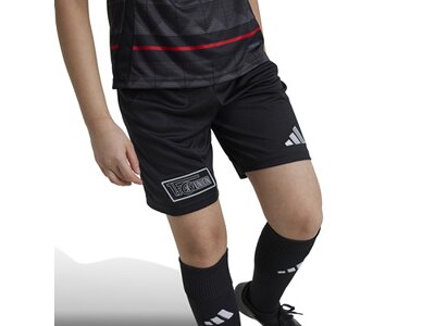 ADIDAS Kinder Teamhose 1. FC Union Berlin 24/25 Kids Auswärts Schwarz