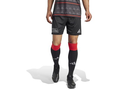 ADIDAS Herren Teamhose 1. FC Union Berlin 24/25 Auswärts Schwarz