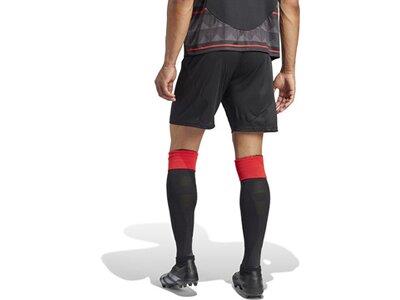 ADIDAS Herren Teamhose 1. FC Union Berlin 24/25 Auswärts Schwarz