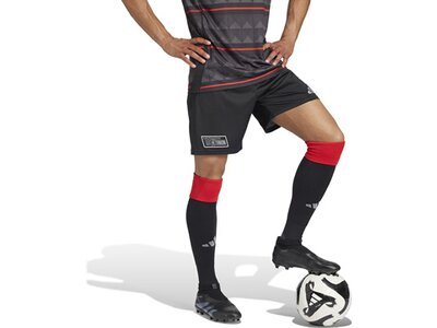 ADIDAS Herren Teamhose 1. FC Union Berlin 24/25 Auswärts Schwarz