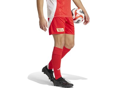 ADIDAS Herren Teamhose 1. FC Union Berlin 24/25 Heim Rot
