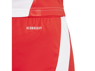ADIDAS Herren Teamhose 1. FC Union Berlin 24/25 Heim Rot