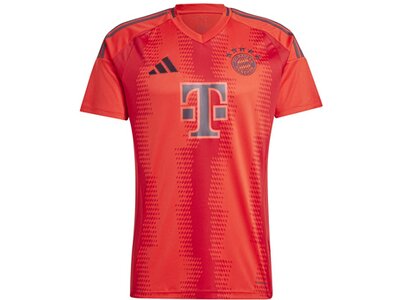 ADIDAS Herren Trikot FC Bayern München 24/25 Heimtrikot Rot