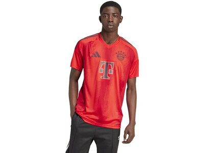 ADIDAS Herren Trikot FC Bayern München 24/25 Heimtrikot Rot