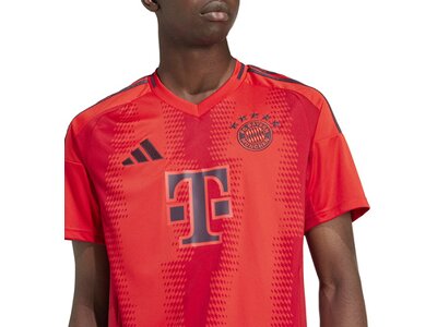 ADIDAS Herren Trikot FC Bayern München 24/25 Heimtrikot Rot