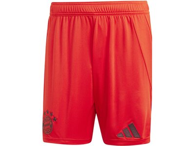 ADIDAS Herren Teamhose FC Bayern München 24/25 Heim Rot