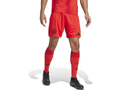 ADIDAS Herren Teamhose FC Bayern München 24/25 Heim Rot