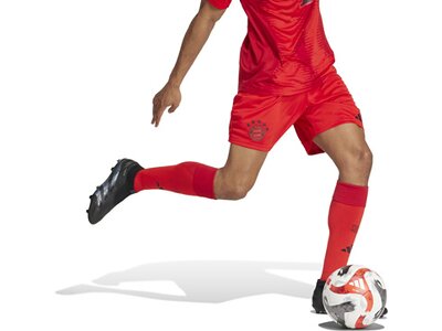 ADIDAS Herren Teamhose FC Bayern München 24/25 Heim Rot