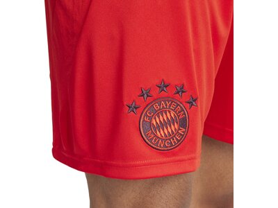 ADIDAS Herren Teamhose FC Bayern München 24/25 Heim Rot