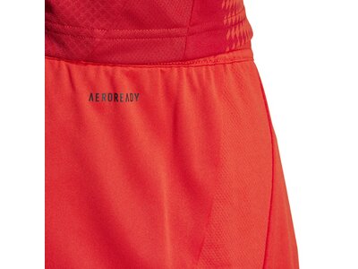 ADIDAS Herren Teamhose FC Bayern München 24/25 Heim Rot