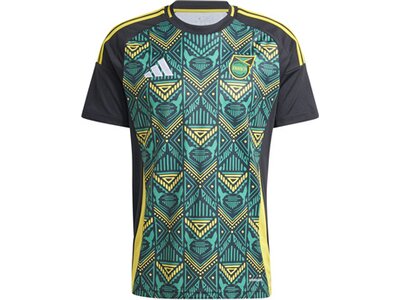 ADIDAS Herren Trikot Jamaika 24 Auswärts Grau