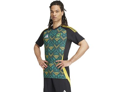 ADIDAS Herren Trikot Jamaika 24 Auswärts Grau