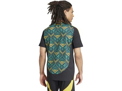 ADIDAS Herren Trikot Jamaika 24 Auswärts Grau