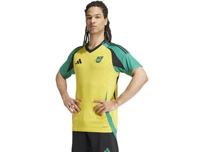 ADIDAS Herren Trikot Jamaika 24 Heim Gelb
