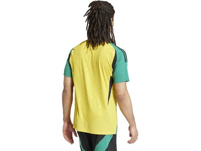 ADIDAS Herren Trikot Jamaika 24 Heim Gelb