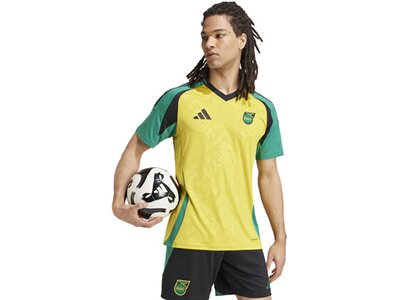 ADIDAS Herren Trikot Jamaika 24 Heim Gelb