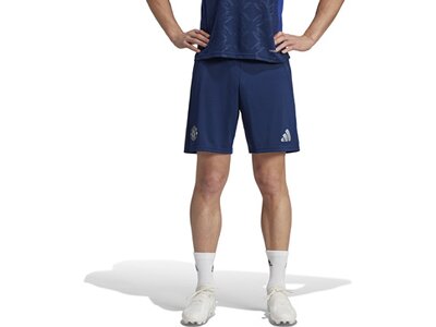 ADIDAS Herren Teamhose Manchester United 24/25 Auswärts Blau