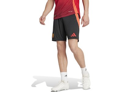 ADIDAS Herren Teamhose Manchester United 24/25 Heim Schwarz