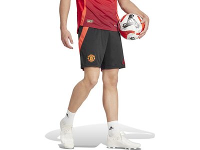 ADIDAS Herren Teamhose Manchester United 24/25 Heim Schwarz