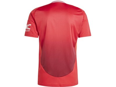 ADIDAS Herren Trikot Manchester United 24/25 Heimtrikot Rot