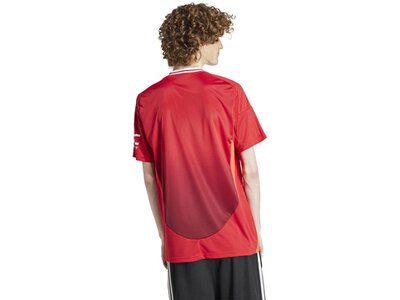 ADIDAS Herren Trikot Manchester United 24/25 Heimtrikot Rot