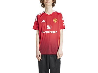 ADIDAS Herren Trikot Manchester United 24/25 Heimtrikot Rot