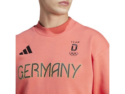 ADIDAS Herren Sweatshirt Team Deutschland Braun
