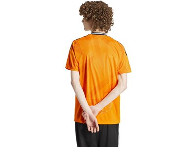 ADIDAS Herren Trikot Real Madrid 24/25 Auswärtstrikot Orange