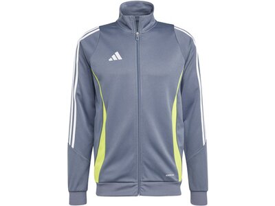 ADIDAS Herren Jacke Tiro 24 Grau