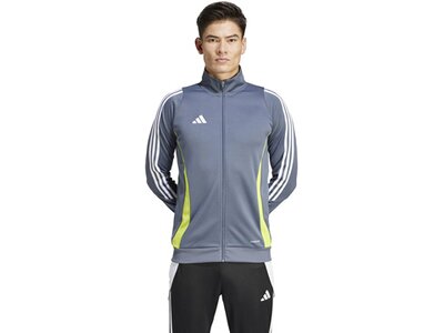 ADIDAS Herren Jacke Tiro 24 Grau