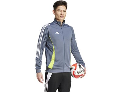 ADIDAS Herren Jacke Tiro 24 Grau