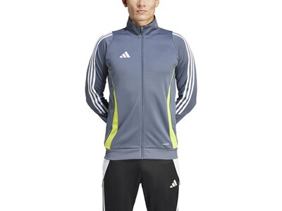 ADIDAS Herren Jacke Tiro 24 Grau