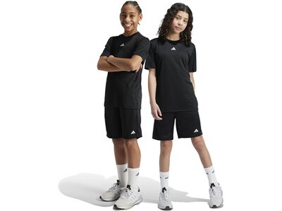 ADIDAS Kinder Shorts Train Essentials Logo Regular Fit Kids Schwarz