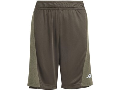 ADIDAS Kinder Shorts Training AEROREADY Heather Kids Braun
