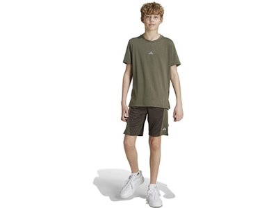 ADIDAS Kinder Shorts Training AEROREADY Heather Kids Braun