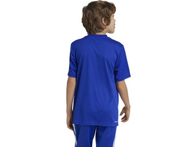 ADIDAS Kinder Shirt Train Essentials Logo Regular Fit Kids Blau