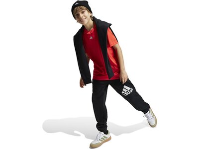 ADIDAS Kinder Shirt Train Essentials Logo Regular Fit Kids Rot