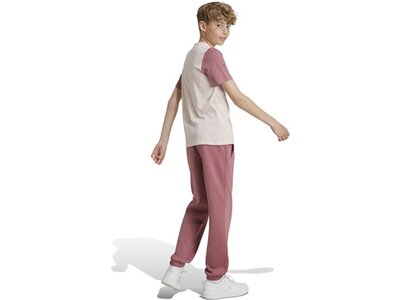 ADIDAS Kinder Hose Essentials Small Logo Feel Cozy Kids Braun