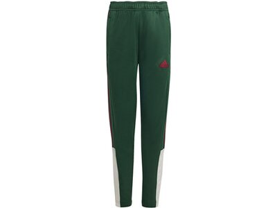 ADIDAS Kinder Hose Tiro Nations Pack Kids Grau