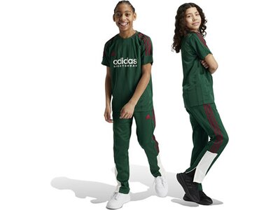 ADIDAS Kinder Hose Tiro Nations Pack Kids Grau