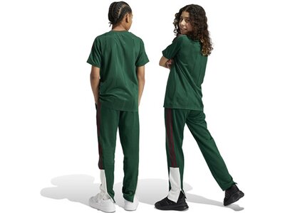 ADIDAS Kinder Hose Tiro Nations Pack Kids Grau